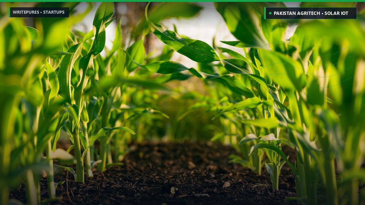 AgriTech & Climate-Smart Farming in Pakistan: How Solar IoT and Satellite AI Are Saving Crops — WritePures Startups