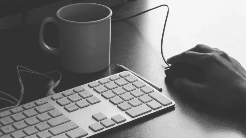 What 250 hiring managers told us about junior developer interviews